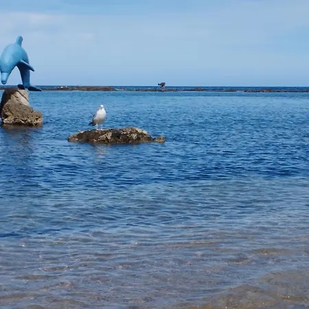Delfino Blu Διαμέρισμα