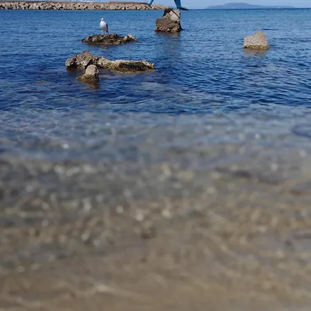 Delfino Blu Porto Torres